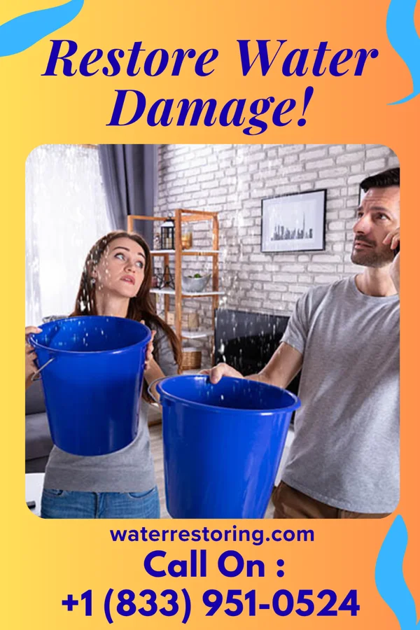 water restoration Express Emergency Restoration Contractors Holiday Heights