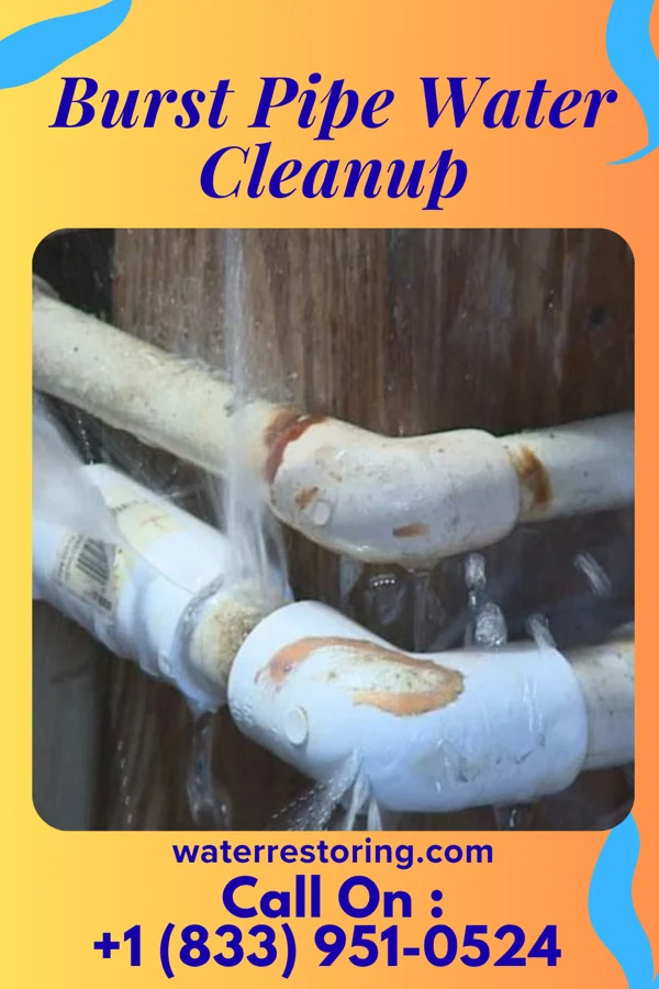 Burst Pipe Water Cleanup in Holiday Heights, NJ