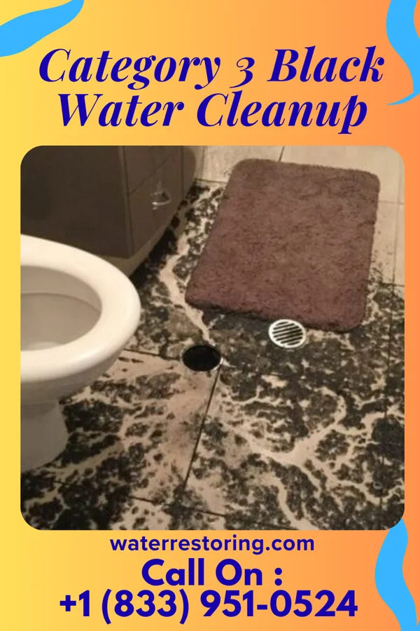 Category 3 Black Water Cleanup in Holiday Heights, NJ