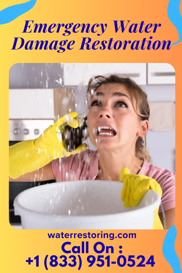 Emergency Water Damage Restoration in Holiday Heights, NJ