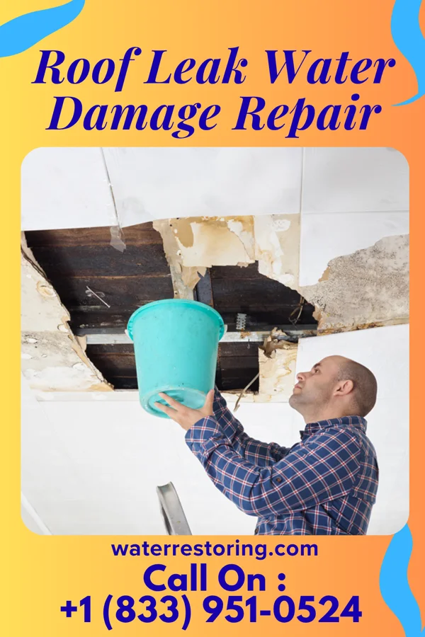 Roof Leak Water Damage Repair in Holiday Heights, NJ