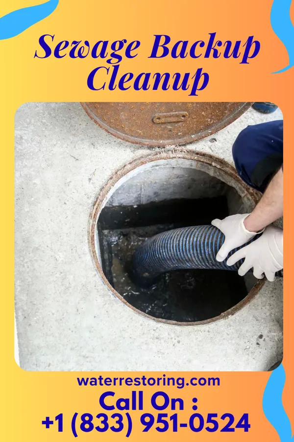 Sewage Backup Cleanup in Holiday Heights, NJ