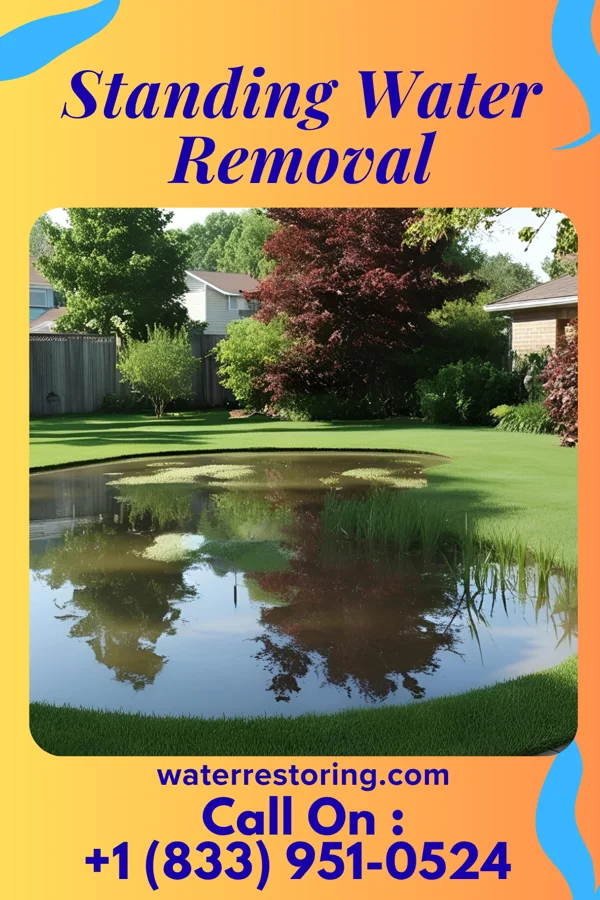 Standing Water Removal in Holiday Heights, NJ